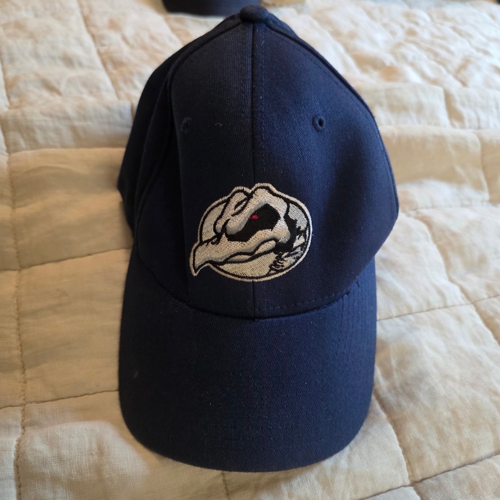 Birdhouse Projects Hat Mens S-M Navy Blue Flexfit Falcon Logo Skate Vintage